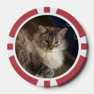 Jetons De Poker Cat