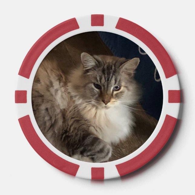 Jetons De Poker Cat (Recto)