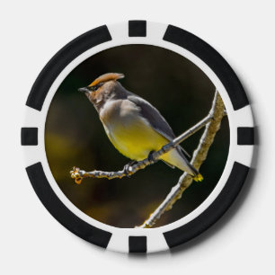 Jetons De Poker Cèdre cire Songbird Photo originale Oiseau sauvage