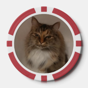 Jetons De Poker Chat 