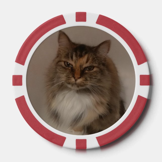Jetons De Poker Chat  (Recto)