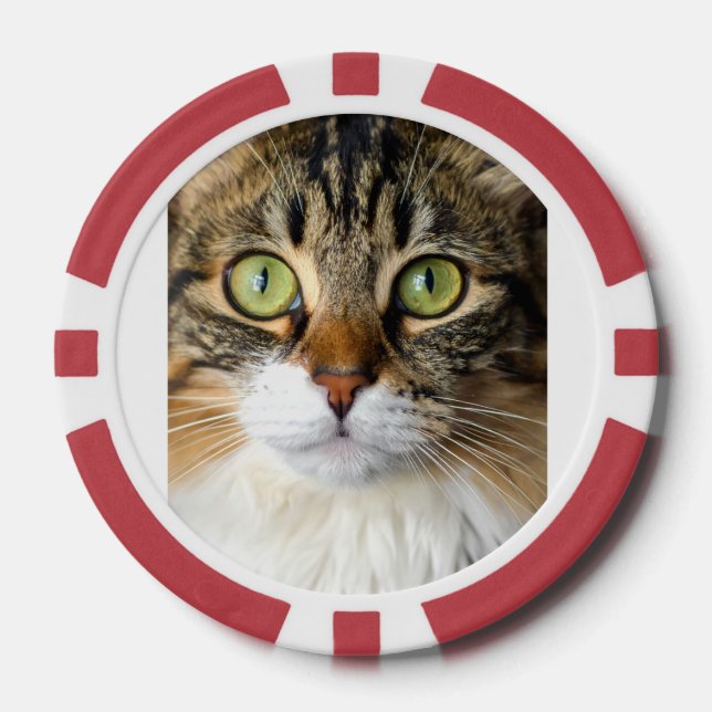 Jetons De Poker Chat (Recto)