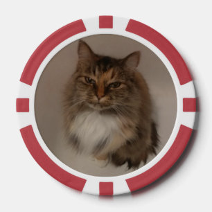 Jetons De Poker Chat et chien