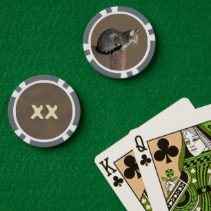 Jetons De Poker Chat Tabby Gris Fumé