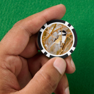 Jetons De Poker Chickadee au plafond noir - Photo originale