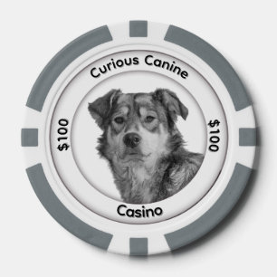 Jetons De Poker Chien de race mixte monochrome trois zones de text
