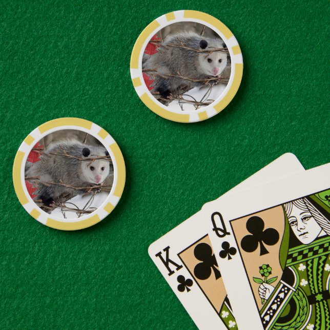 Jetons De Poker Chips de poker Opossum Nature (Table de poker (double))