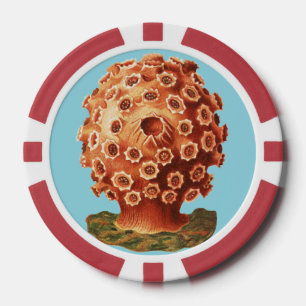 Jetons De Poker Corail Rouge de Ernst Haeckel Vie Naútíque Marine