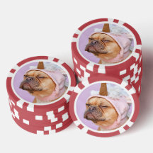 Créez Votre Propre Photo de Animal de Compagnie Pe