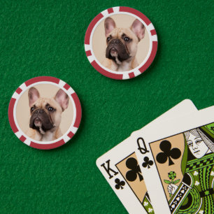 Jetons De Poker Créez Votre Propre Photo de Chien/Chat Personnalis