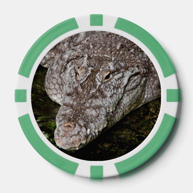 Jetons De Poker Crocodile (Recto)