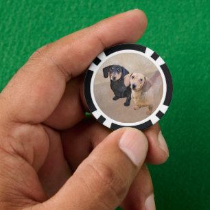 Jetons De Poker Dachshund (Smooth) Peinture - Art Chien original