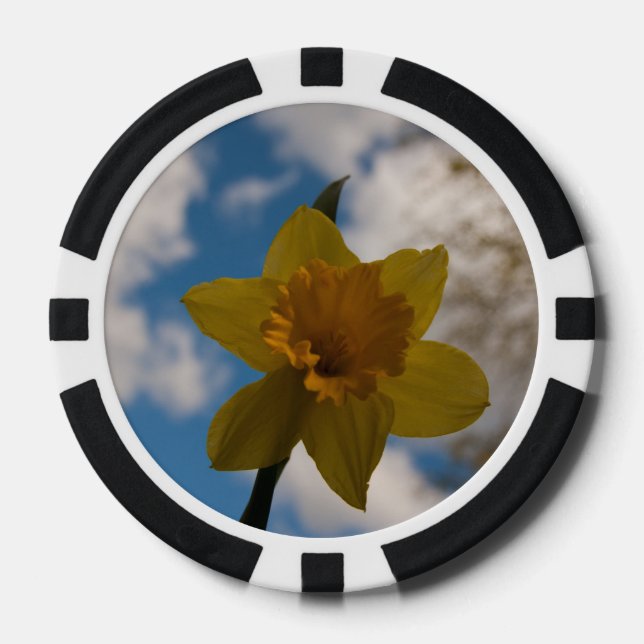 Jetons De Poker Daffodique au printemps (Recto)