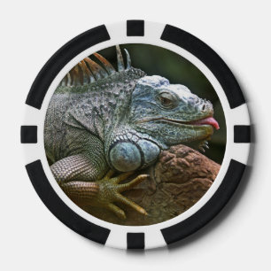 Jetons de poker de coutume d'iguane