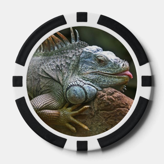 Jetons de poker de coutume d'iguane (Recto)