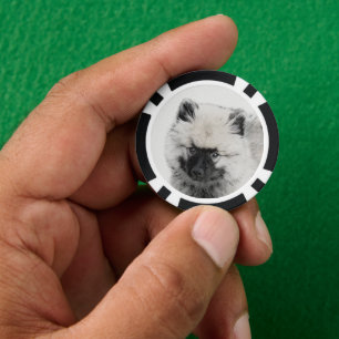 Jetons De Poker Dessin Keeshond Chiot - Joli dessin original Chien