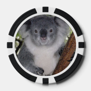 Jetons De Poker Destiny Zazzle Cute Koala Aussi Outback Animal Art
