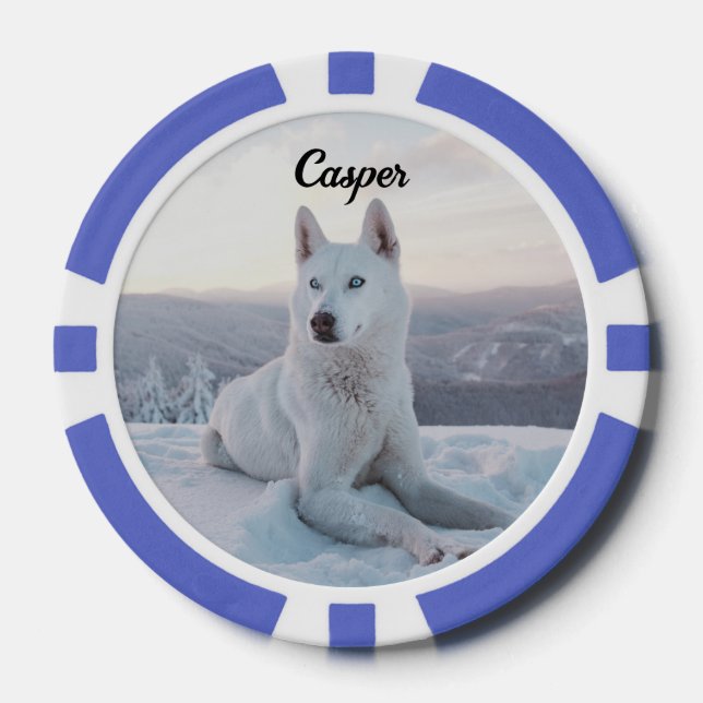 Jetons De Poker Enchanter White Husky Dog dans la neige (Recto)