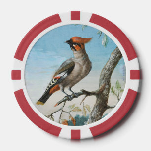 Jetons De Poker Étude d'oiseau par George Edwards (1694-1773)