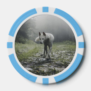 Jetons De Poker Husky Sibérien Blanc