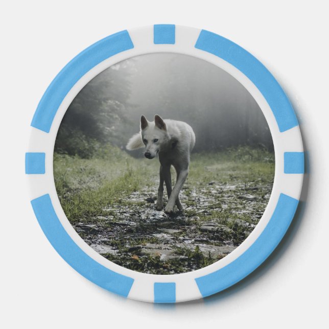 Jetons De Poker Husky Sibérien Blanc (Recto)