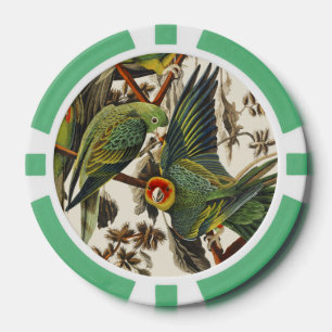 Jetons De Poker Illustration vintage d'Audubon du Perroquet de Car