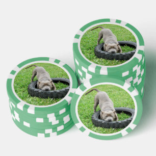 Jetons De Poker Jeune Homme Qui Joue Avec Son Pneu,