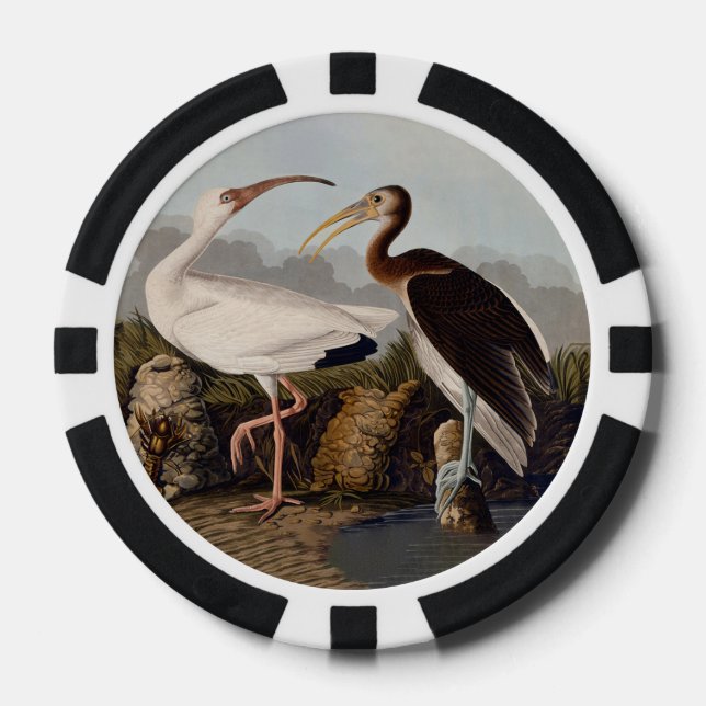 Jetons De Poker John James Audubon White Ibis Bird Print Classic (Recto)