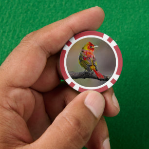 Jetons De Poker Moulage de Tangère - Photo originale
