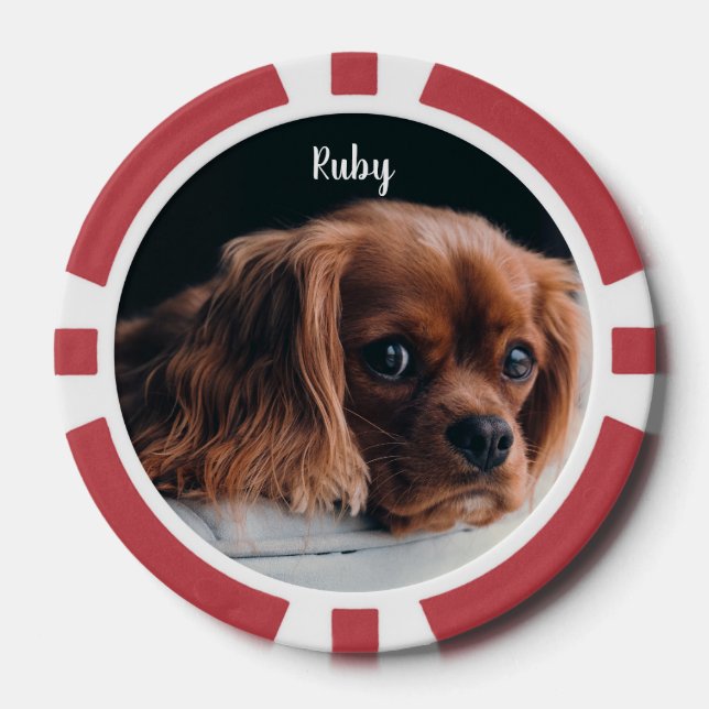 Jetons De Poker Personnalisé Ruby Cavalier King Charles Spaniel (Recto)