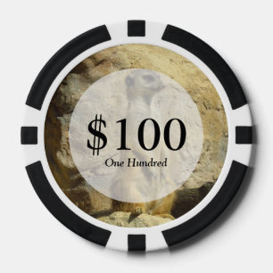 Jetons De Poker Photo de Cute meerkat