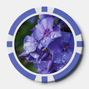 Jetons De Poker photo fleur violet
