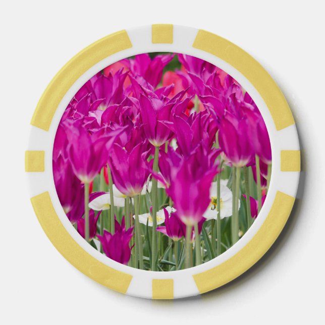 Jetons De Poker Positions Pink Violet Lumineux (Recto)