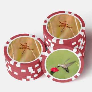 Jetons De Poker Puces de poker avec libellule et photo de colibri