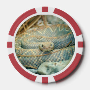 Jetons De Poker Puces de serpent