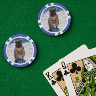Jetons De Poker Quokka sur la plage en Australie, animal mignon