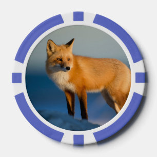 Jetons De Poker Renard Brown