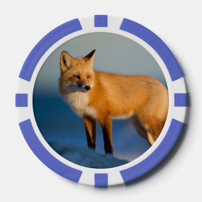 Jetons De Poker Renard Brown (Recto)