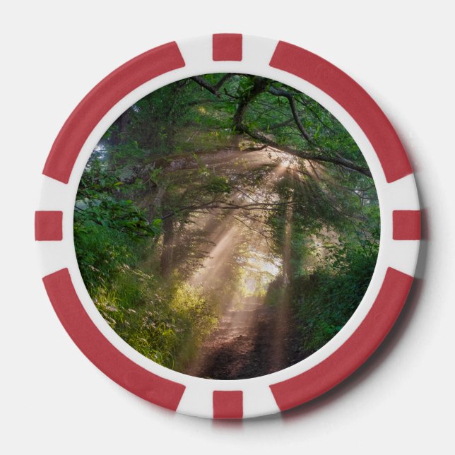 Jetons De Poker sentier forestier (Recto)