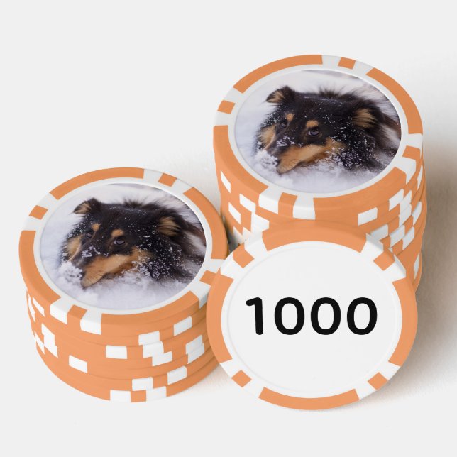 Jetons De Poker Shetland Sheepdog allongé dans la neige (Empiler)