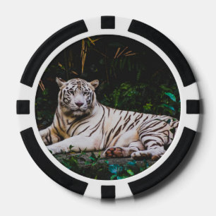 Jetons De Poker Tigre