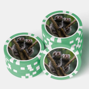Jetons De Poker Tiny Marmoset Titans Parmi les Branches,