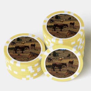 Jetons De Poker Valley of the Horses