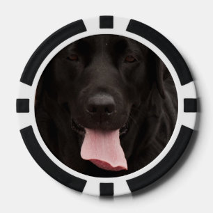 Jetons De Poker Visage de chien noir