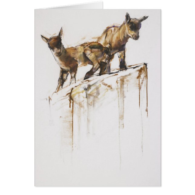 Jeu 2005 de roche (Devant)