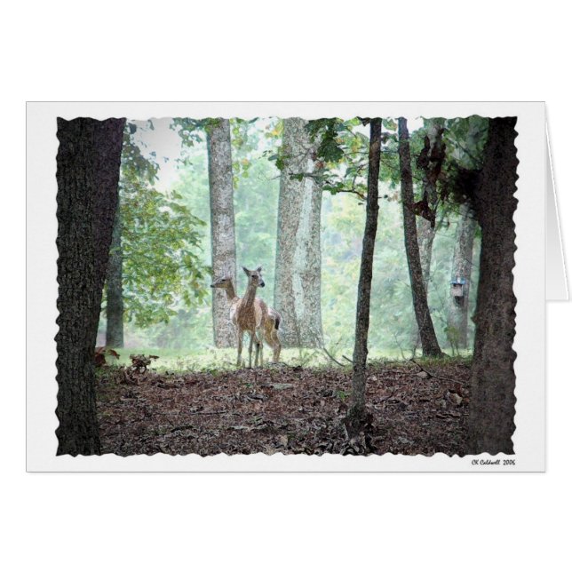 Jeu dans les bois (Devant horizontal)