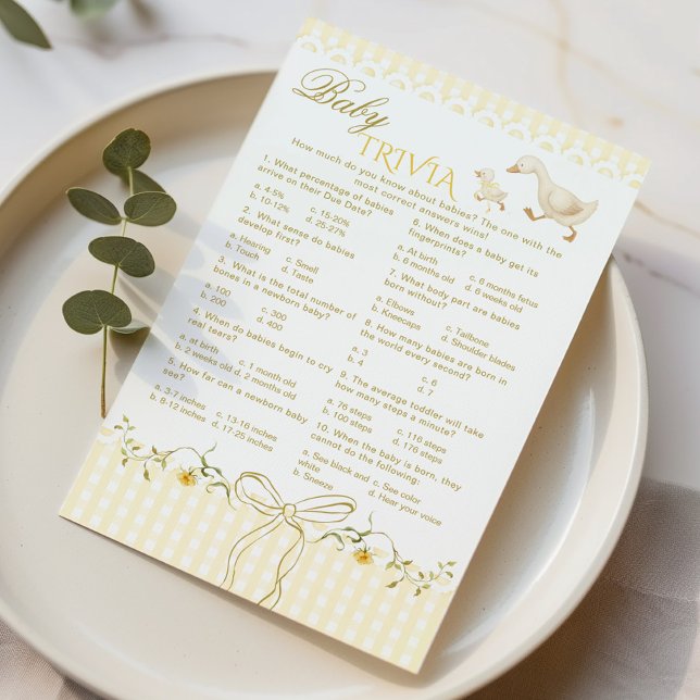 Jeu de baby shower Baby Trivia Silly Goose Gingham (Créateur téléchargé)