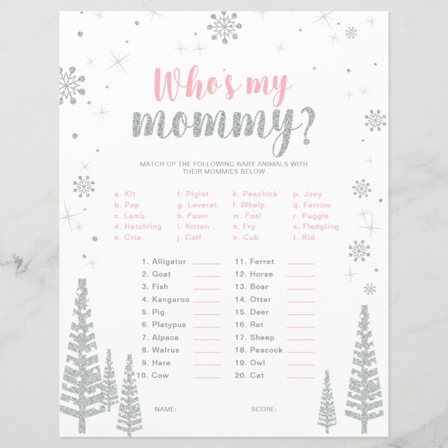 Jeu de Baby shower Silver & Pink Winter Wonderland (Devant)