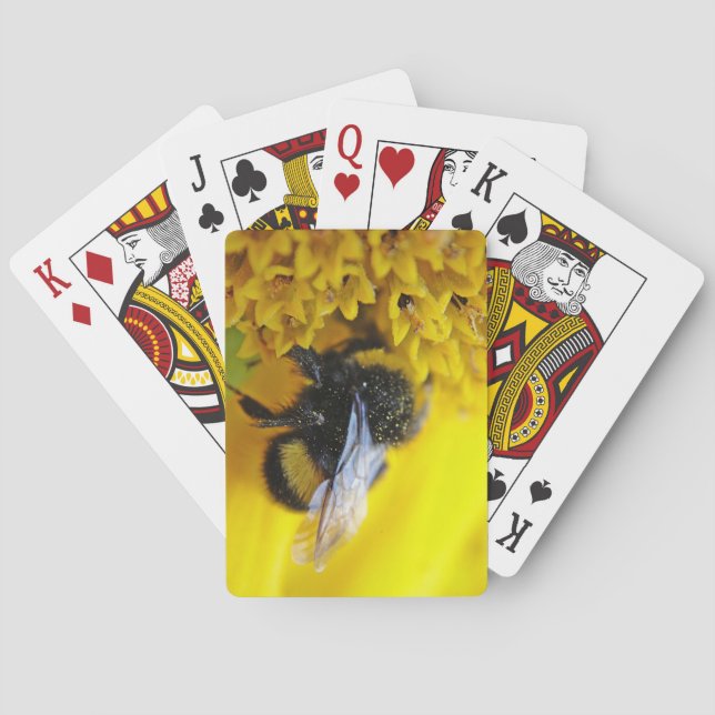 JEU DE CARTES 101 (dos)