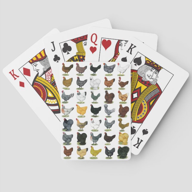 Jeu De Cartes 49 poules de poulet (dos)